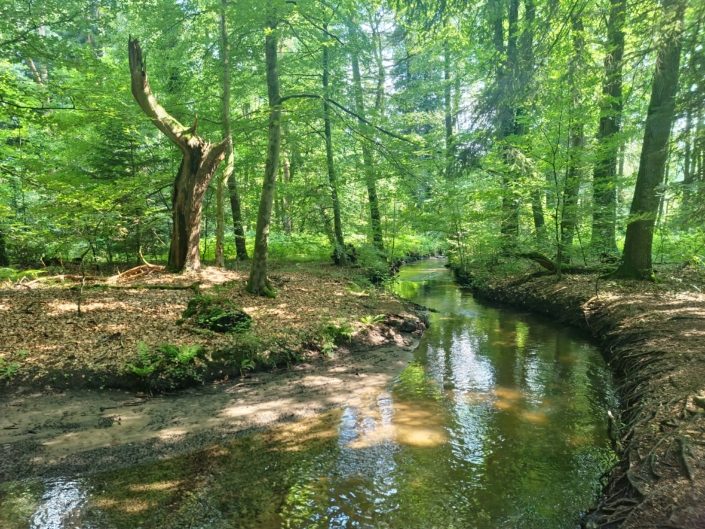 Wanderung am Ölbach in Verl