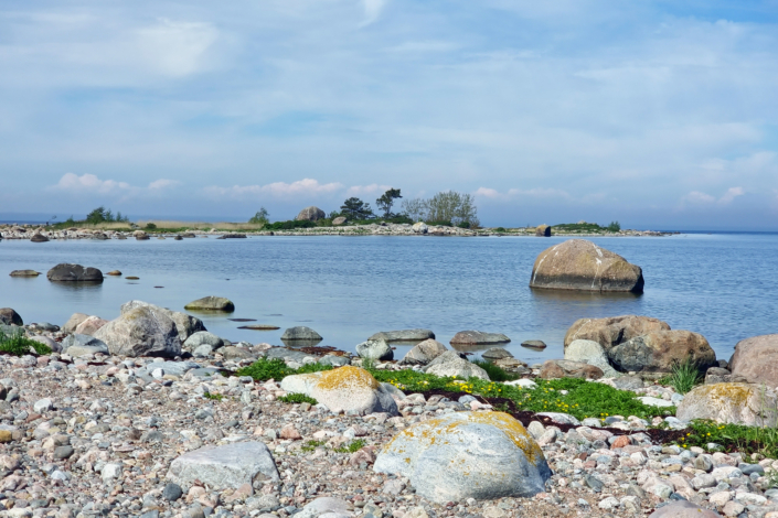 Estland_20250530_144356