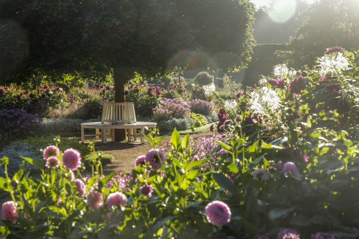 Sommerblumenbeete im Botanischen Garten Gütersloh